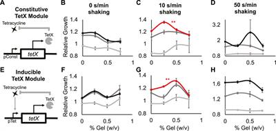 Frequency dependent growth of bacteria in living materials